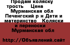 Продам коляску - трость. › Цена ­ 1 800 - Мурманская обл., Печенгский р-н Дети и материнство » Коляски и переноски   . Мурманская обл.